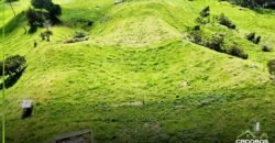 Terreno de venta en Babarcote – Biblián.